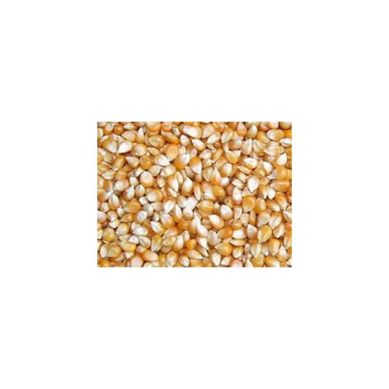 KUKURYDZA POPCORN 1kg