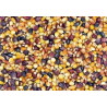 MIX KUKURYDZ MDM 1kg