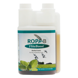 ROPA-B FLITE BOOST 500ml