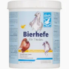 BIERHEFE